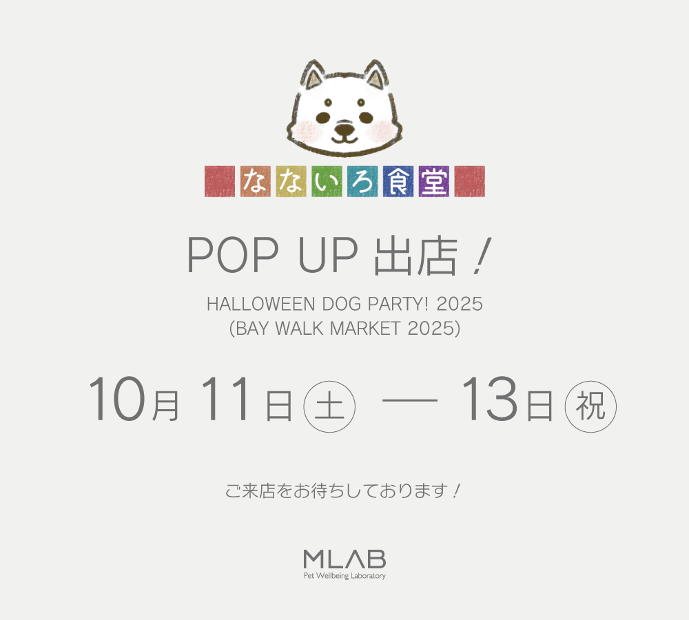 POP UP SHOPのご案内